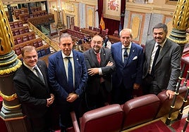 Varios integrantes de la Asociación '500 años de Álvaro de Bazán' acudieron al Congreso para asistir al debate.