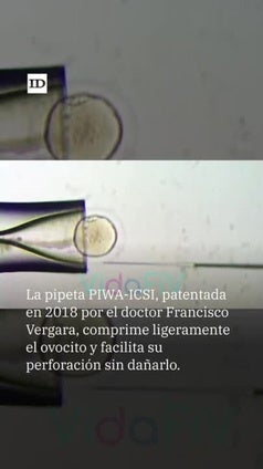 Reproducción asistida Hospital Vithas