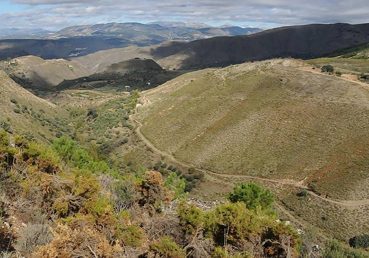 La ladera suroeste del barranco de Huenes se eleva sobre el cauce histórico del arroyo que baja desde el Trevenque