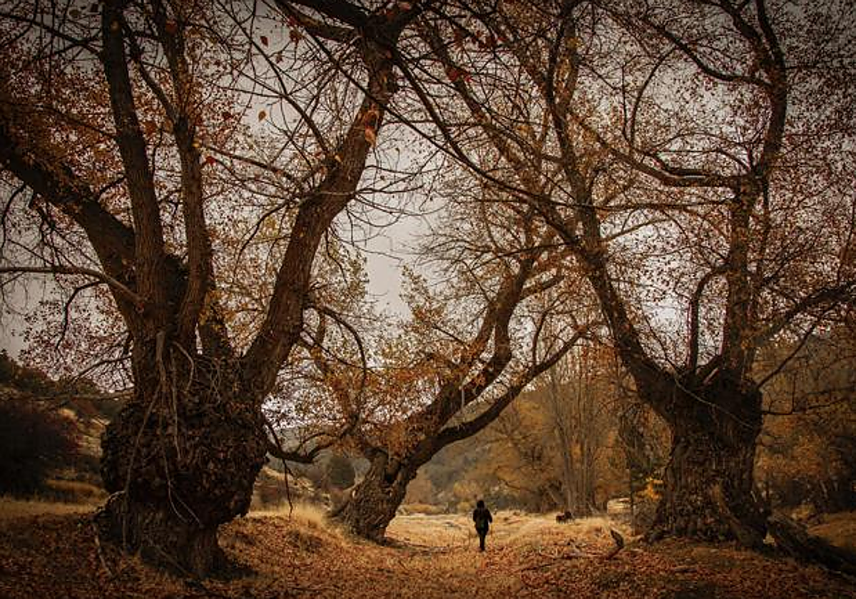 Descubre las mejores imágenes del VI Concurso de Fotografía Fundación Caja Rural Granada