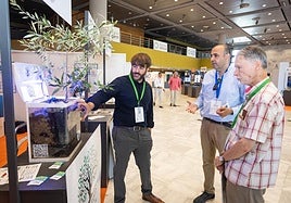 La 'spin-off' de la UGR Hidroinfiltrador presenta una solución de riego de alta eficiencia