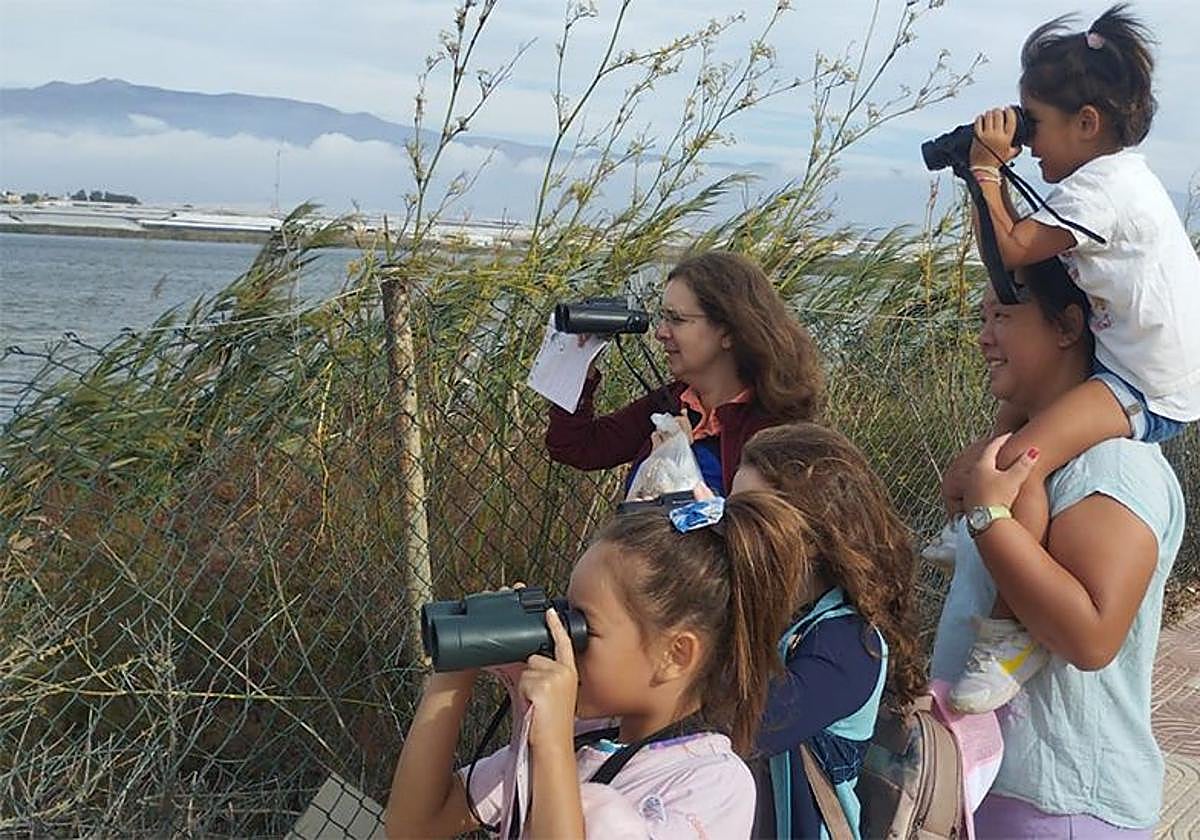 Aves y palabras para Isa