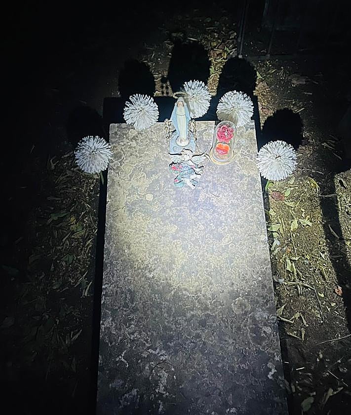 Imagen secundaria 2 - Detalles de la visita