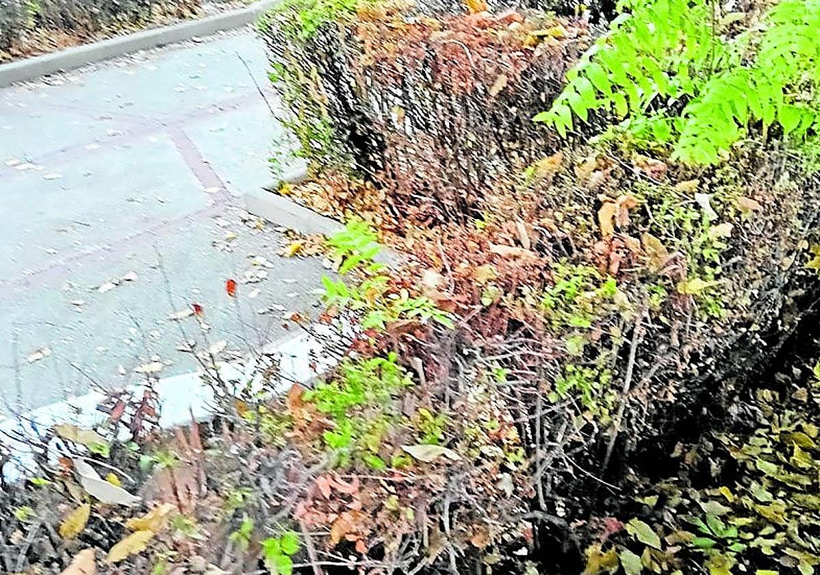 Estado del colegio de Hernán Valle, Guadix.