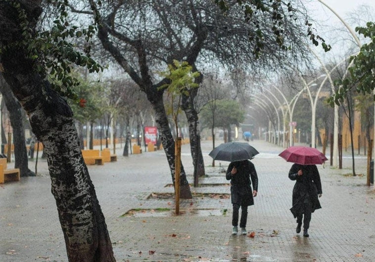 Avisos de última hora de Aemet por inundaciones y tormentas en Andalucía: zonas afectadas