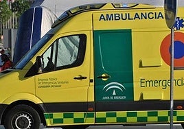 La autopsia de la joven muerta en un piso de estudiantes de Granada no es concluyente.