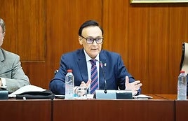 El consejero de Universidad, Investigación e Innovación de la Junta de Andalucía, José Carlos Gómez Villamandos, en la comisión de Universidad.
