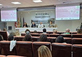 Sanidad organiza una jornada centrada en la atención al paciente con ictus