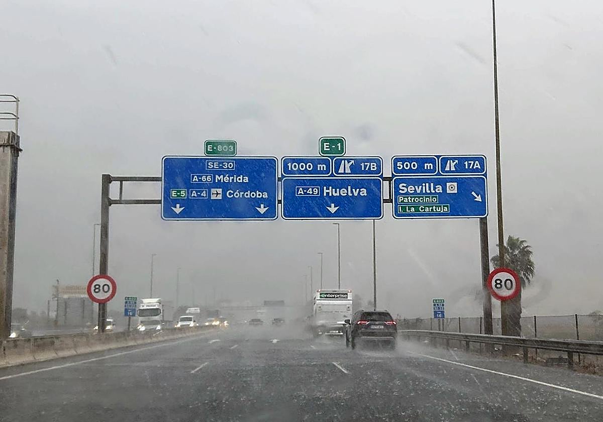 Efectos del temporal en las inmediaciones de Sevilla.