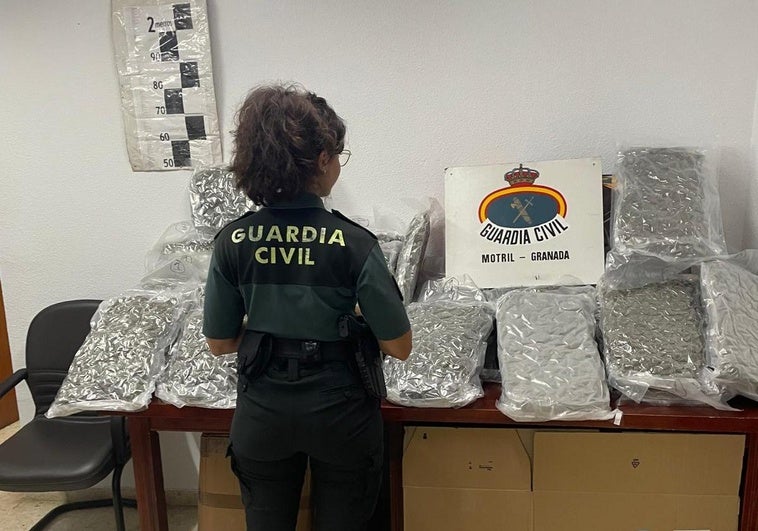 Un guardia civil fuera de servicio frustra un intercambio de droga en Calahonda