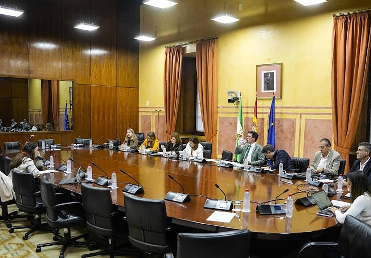 Una de las comparecientes en la Comisión de Vivienda del Parlamento.