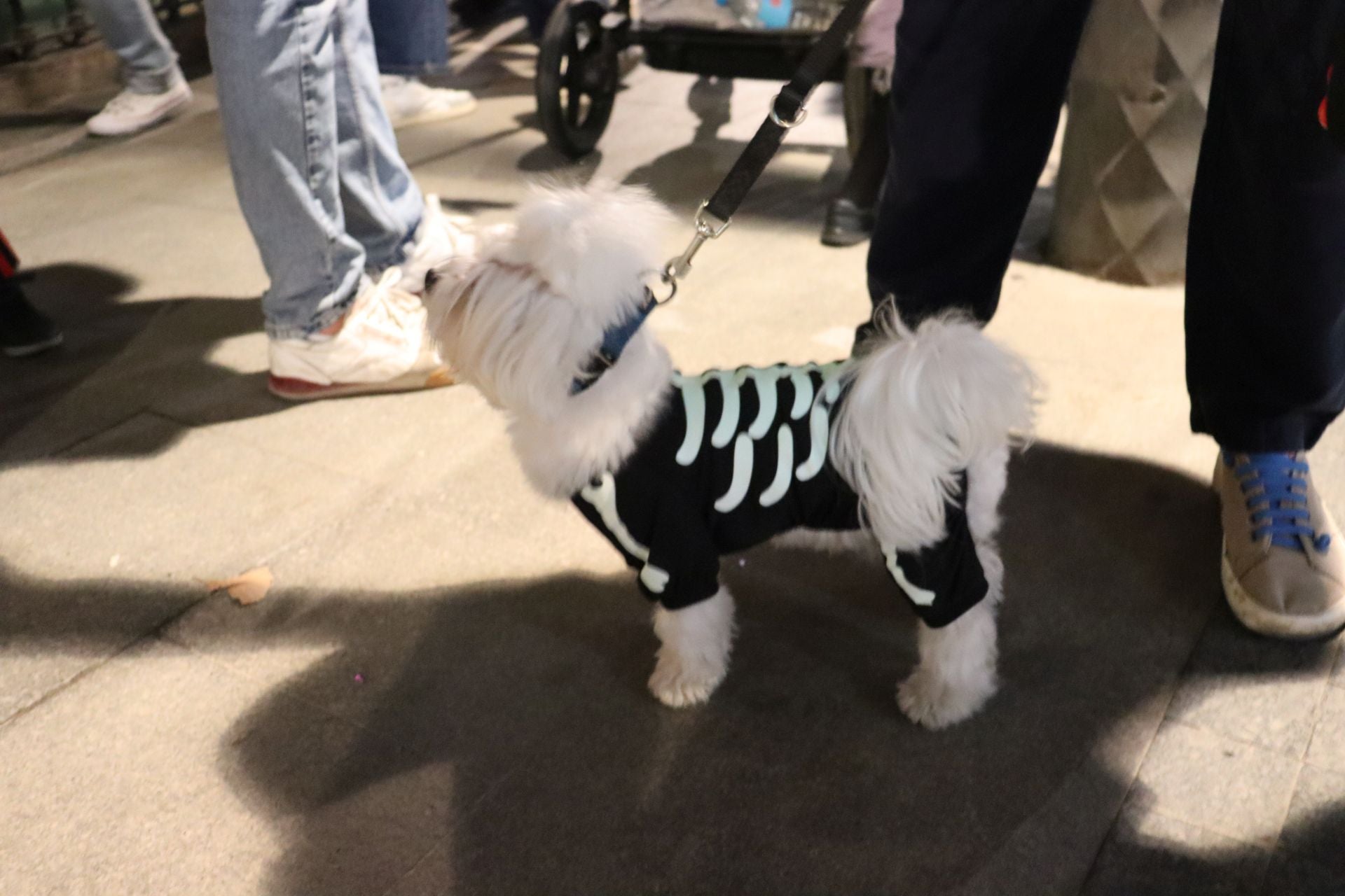 La Noche en Negro de Almería en fotos