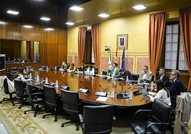 Una de las comparecientes en la Comisión de Vivienda del Parlamento.