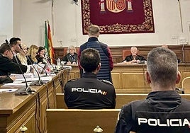 El acusado, en pie durante una de las sesiones del juicio en la Audiencia provincial