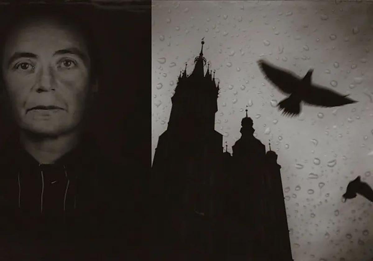 Serie Cresol, primer premio.