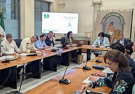 Reunión del consejo escolar provincial.