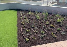 Cubierta vegetal del Espacio ALMA, experiencia piloto realizada en Almería.