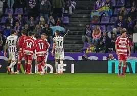 Diego Hormigo se retira expulsado de Zorrilla.