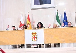 Imagen del Pleno del Ayuntamiento de Almería.