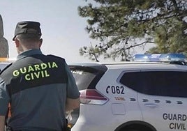 La Guardia Civil caza a un conocido ladrón de Granada