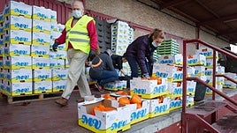 El Banco de Alimentos de Granada premia a la Universidad de Granada