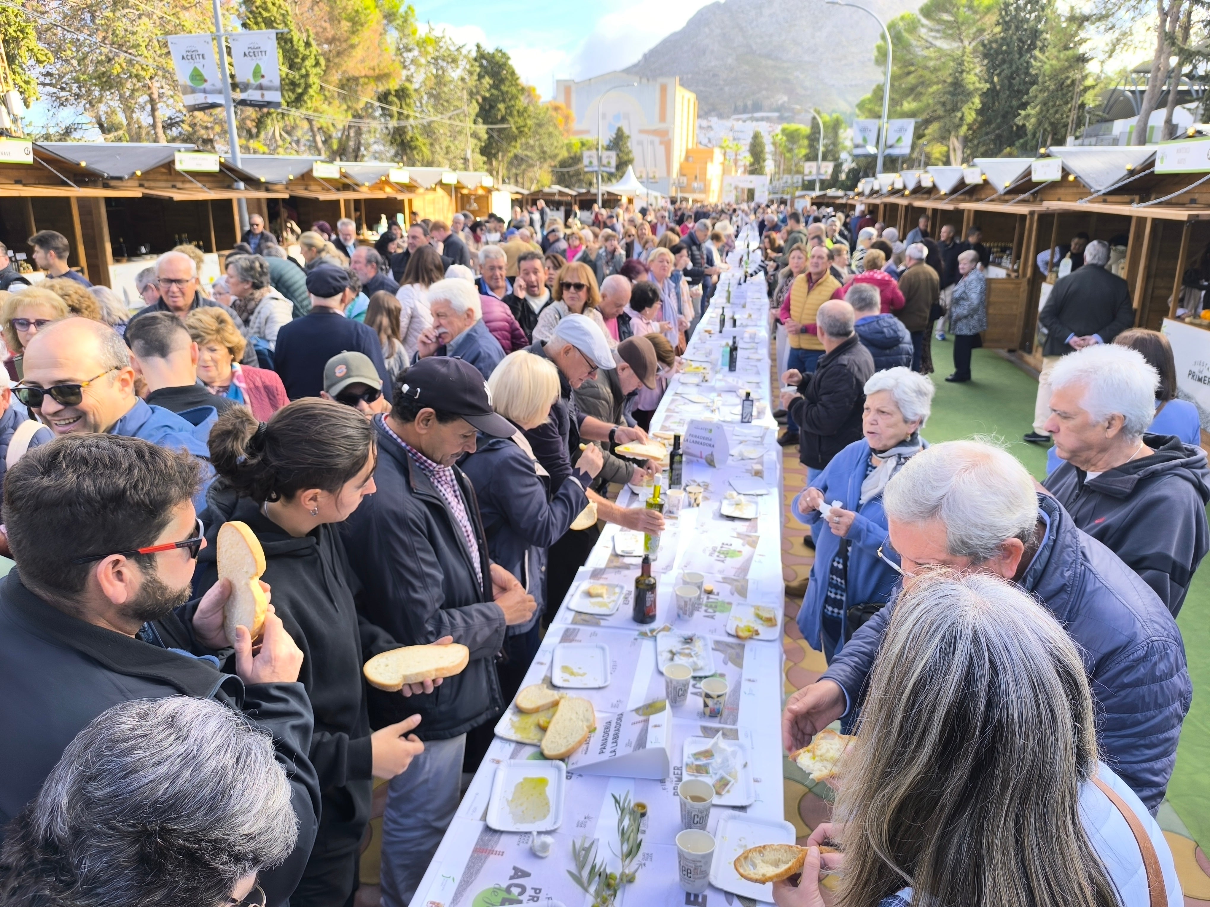 Todas las imágenes de la Fiesta del Primer Aceite de Jaén
