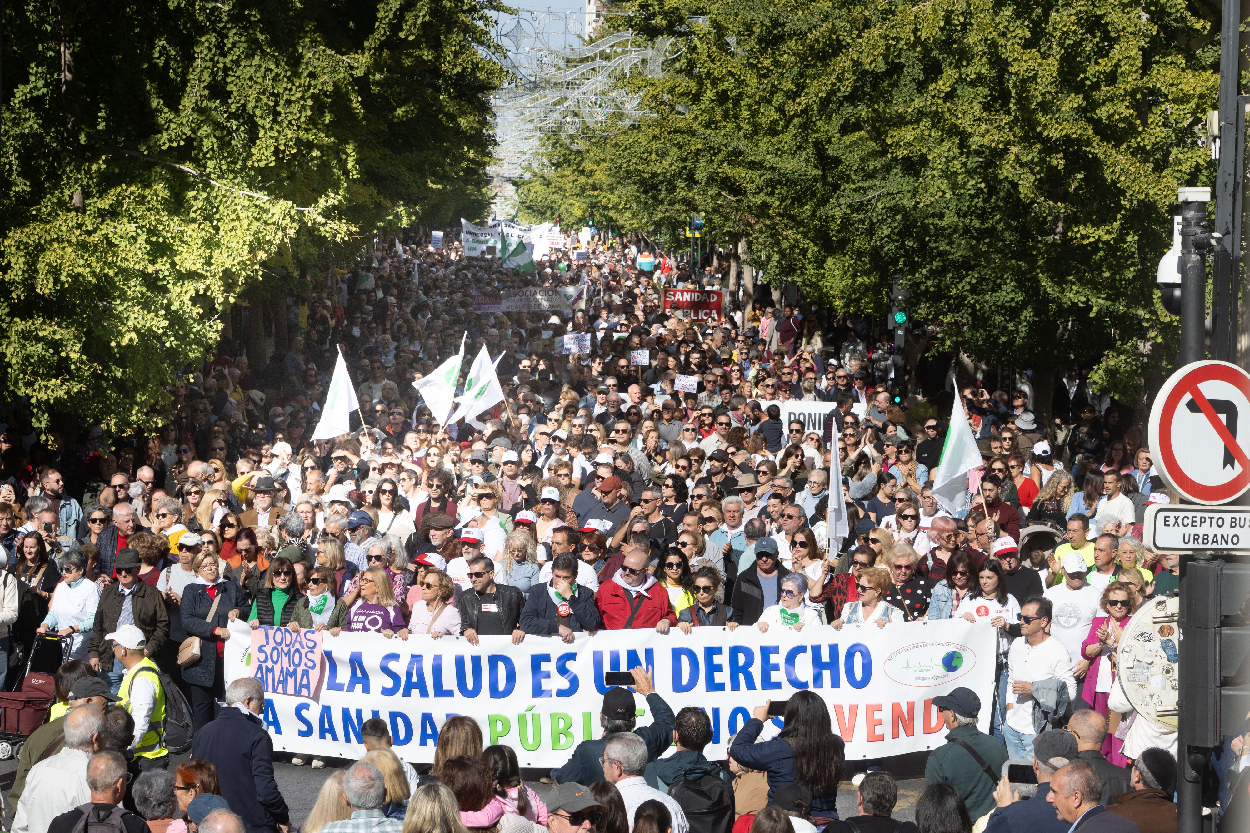 La manifestación en Granada en defensa de la Sanidad, en imágenes