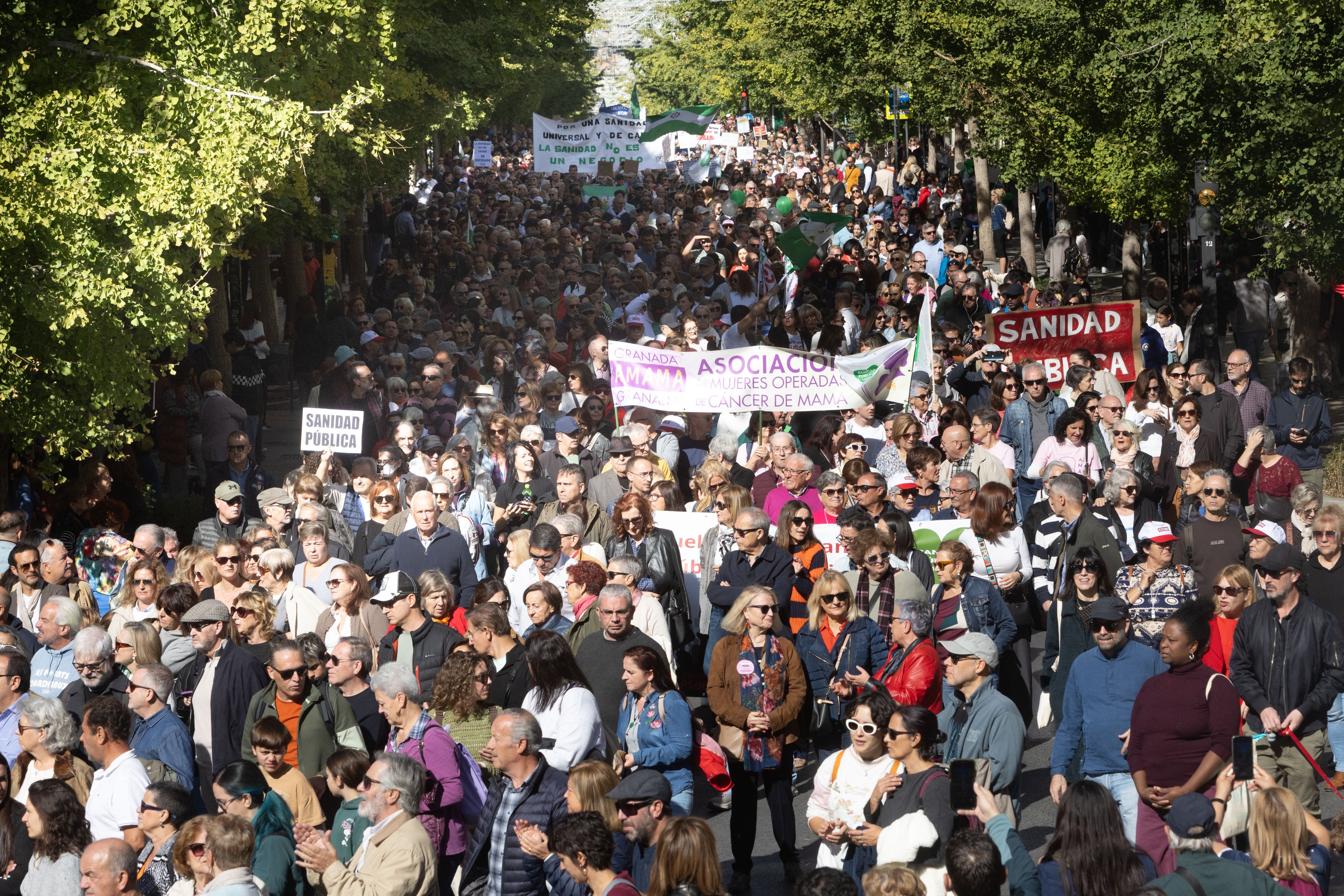 La manifestación en Granada en defensa de la Sanidad, en imágenes