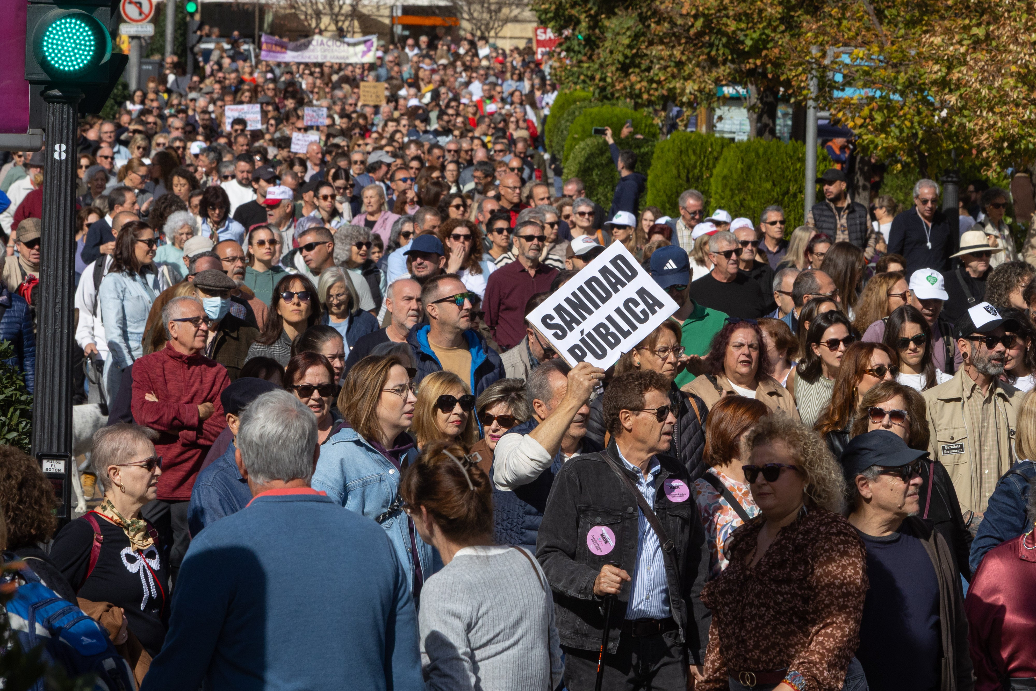 La manifestación en Granada en defensa de la Sanidad, en imágenes