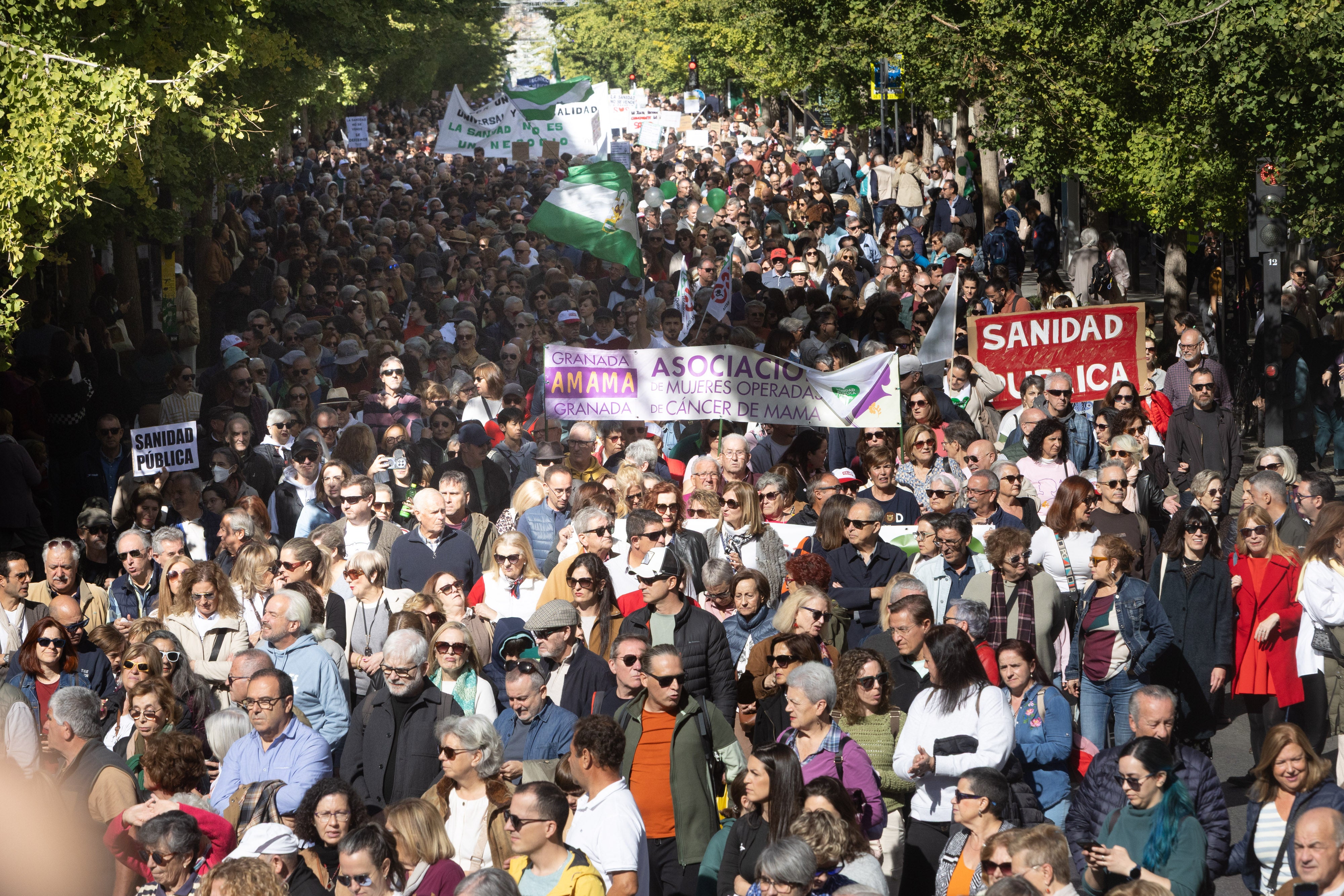 La manifestación en Granada en defensa de la Sanidad, en imágenes