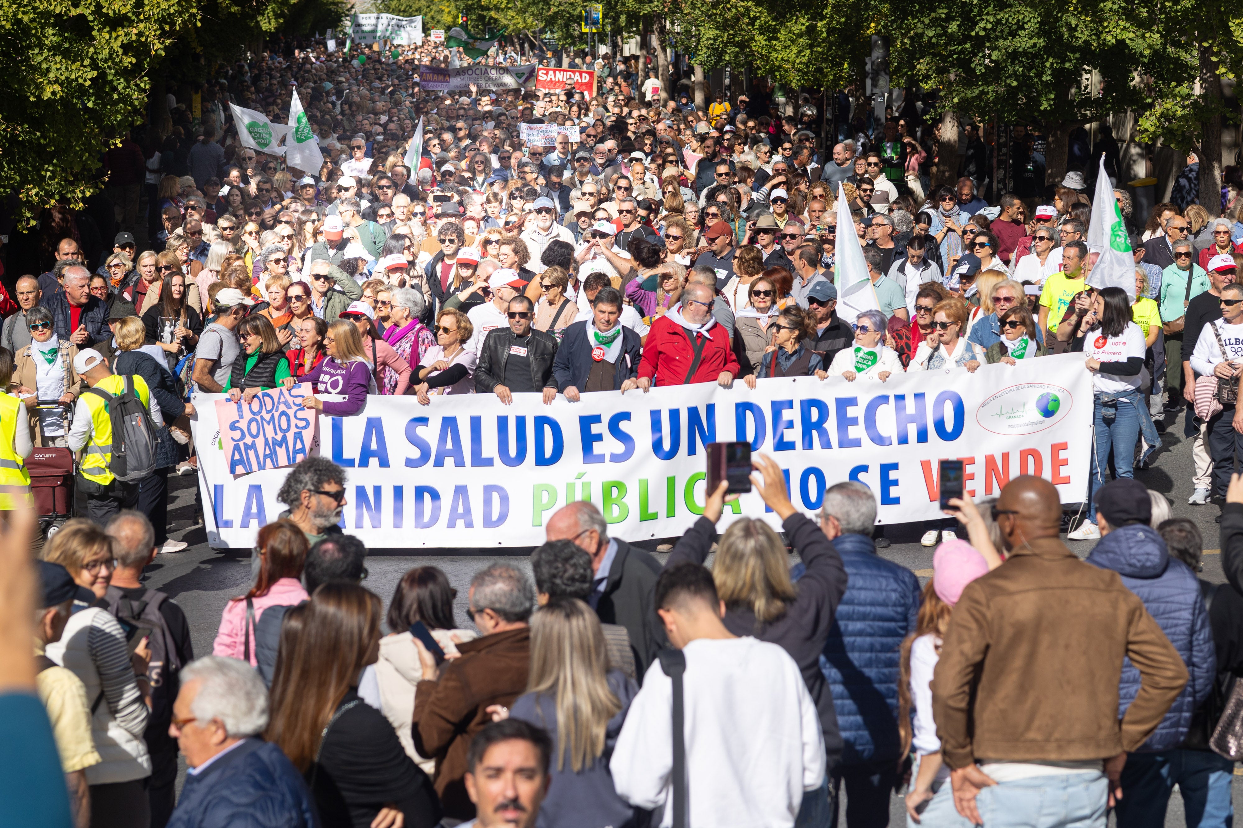 La manifestación en Granada en defensa de la Sanidad, en imágenes