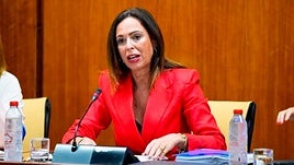 La consejera de Fomento, Articulación del Territorio y Vivienda, Rocío Díaz.