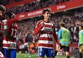 Pedro Alemañ celebra su gol al Zaragoza.