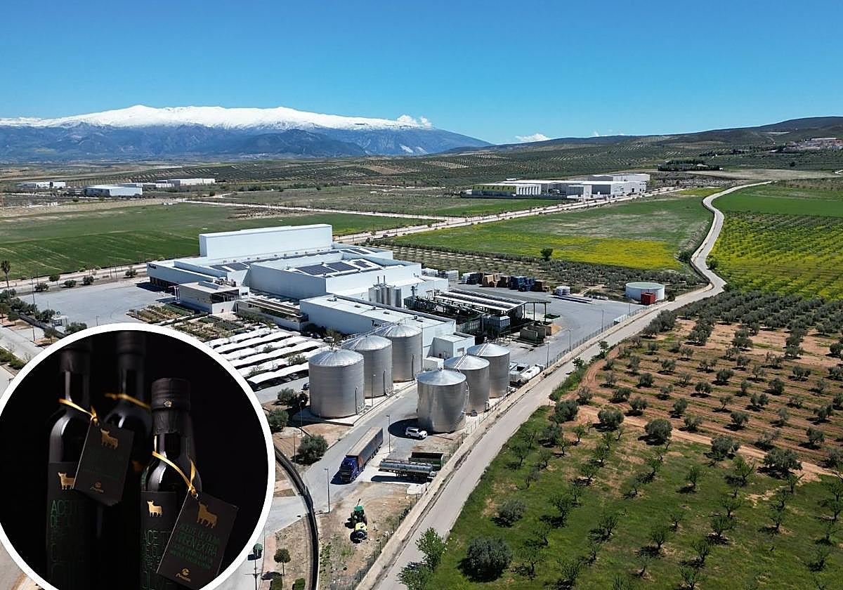 El AOVE de Granada que entra en el Top 100 de mejores aceites del mundo: Â«Le ponemos mucho mimoÂ»
