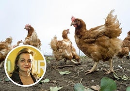 Paqui Iglesias, secretaria de ganadería de UPA Andalucía.