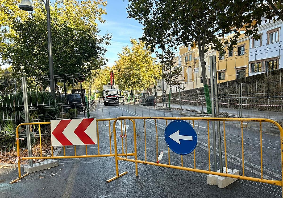Imagen principal - Las obras cogen músculo en una avenida Cervantes que ya está totalmente cerrada