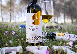 AOVE Sierra de Segura: sabor de alta montaña