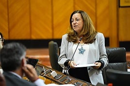 La consejera de Desarrollo Educativo y Formación Profesional, María del Carmen Castillo.