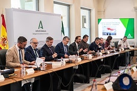 El delegado del Gobierno, Antonio Granados, ha presidido el Comité Asesor del Plan Infoca, en donde se han presentado los datos del Plan Infoca.