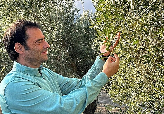 Antonio junto a uno de sus olivos.