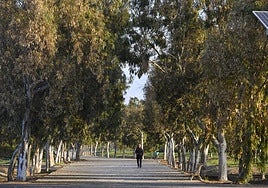 Imagen del Parque del Andarax.