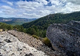 Las ovejas, en dirección a Vilches, a su paso por desfiladeros de la provincia de Cuenca.