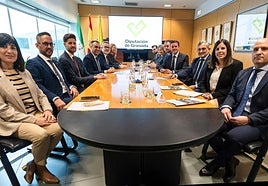 Las diputaciones de Granada y Almería movilizan 5,26 millones de euros para conectar la Alpujarra