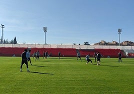 Uno de los ejercicios del entrenamiento del Granada.