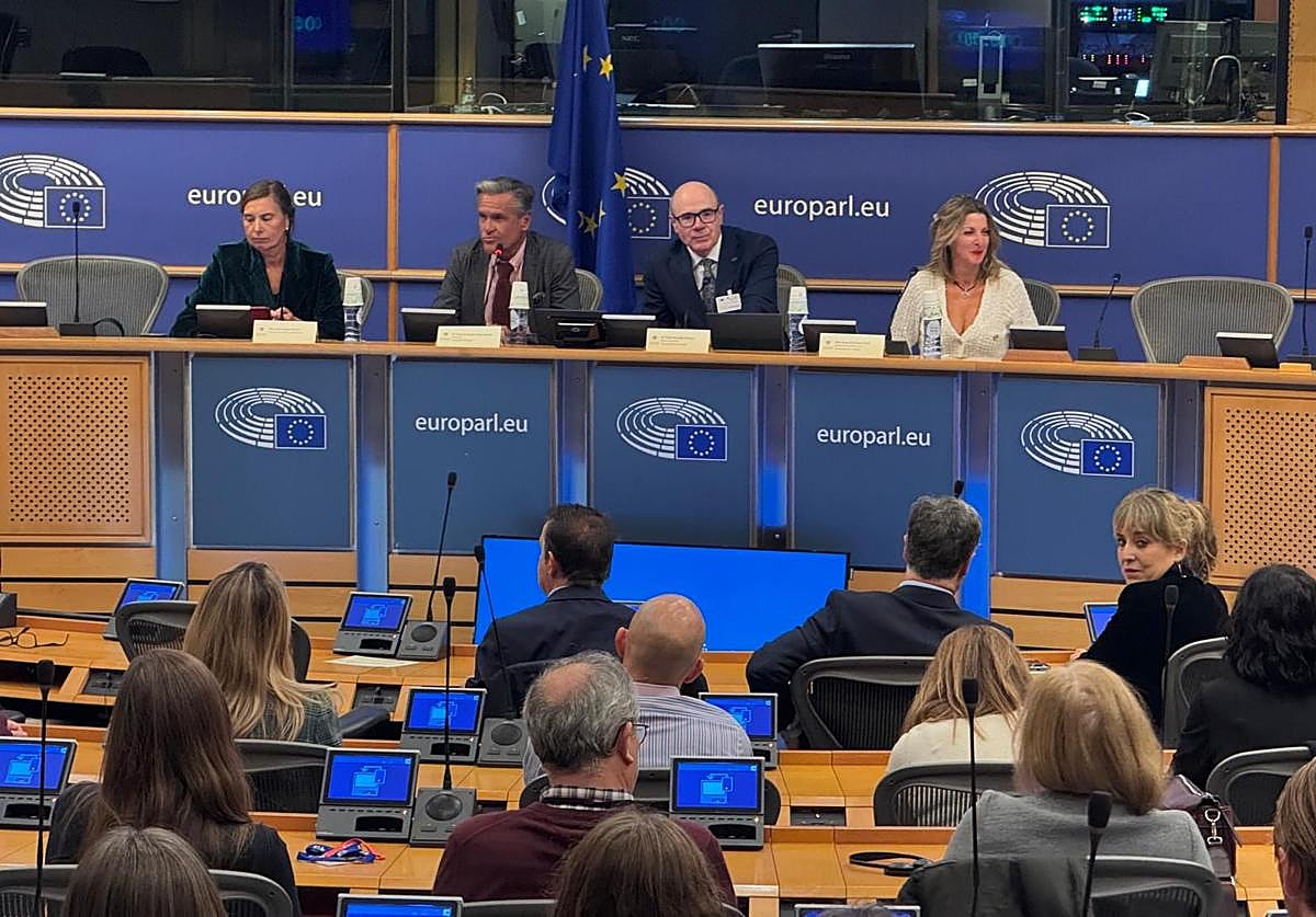 El rector de la Universidad de Granada, Pedro Mercado, en el Parlamento europeo junto a Juan Fernando López Aguilar, alumni de honor de la UGR.