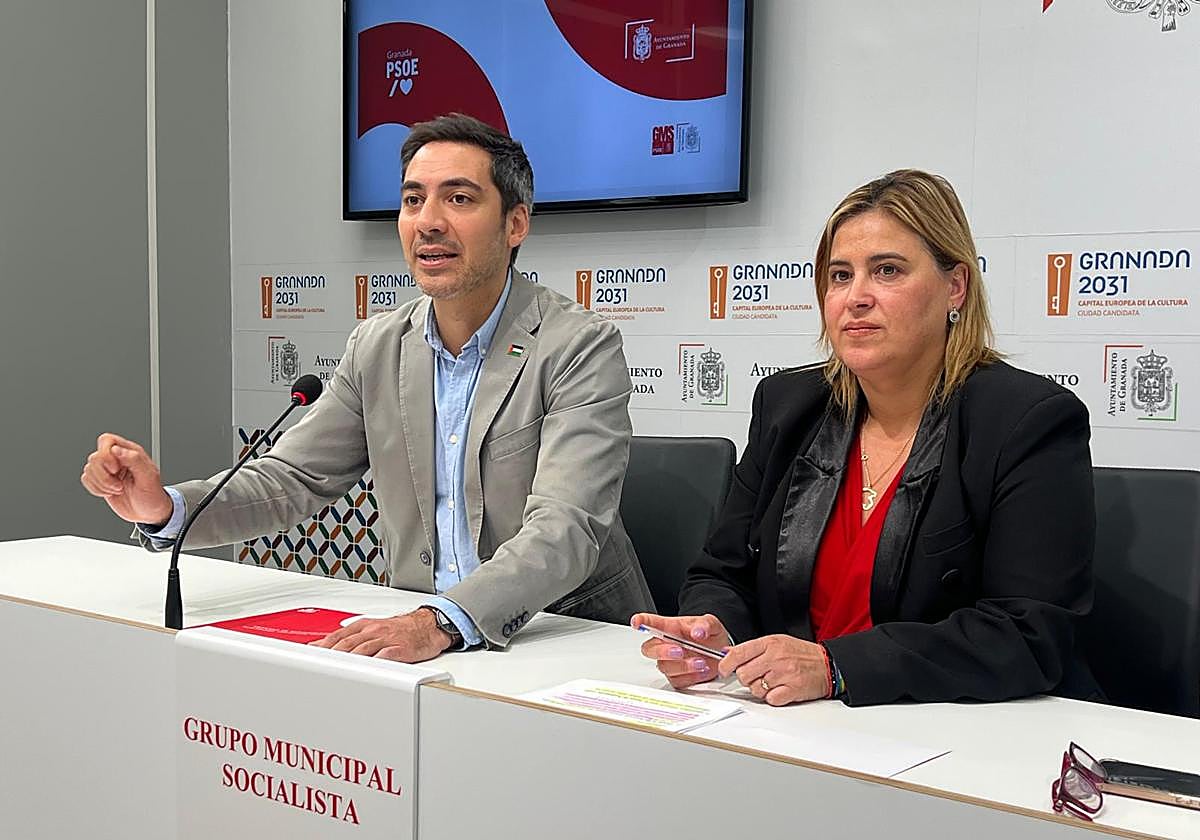 El PSOE pondrá el acento en el pleno en el blindaje de los derechos sociales y la accesibilidad universal
