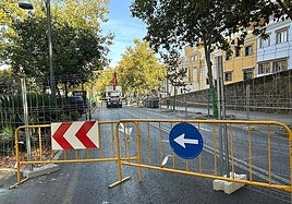 Obras en la avenida Cervantes