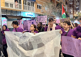 Manifestación por el Día Internacional de la Violencia contra la Mujer