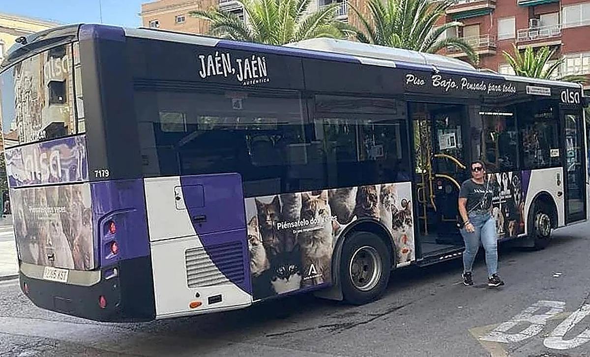 Imagen de archivo de un autobús en la capital.