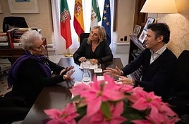 El Ayuntamiento de Granada exige al Gobierno «transparencia y garantías» tras los fallos de pulseras antimaltrato